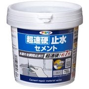 超速硬止水セメント グレー 750G