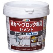 外カベ・ブロック塀用セメント グレー 750G