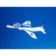 PPプレーン ブルーインパルス