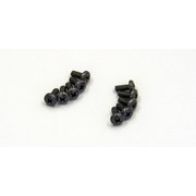 バインドビス（M2.6x6/10入）