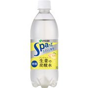 スパッと生姜 炭酸水 （無糖） 500ml×24本 ジンジャー [炭酸飲料]