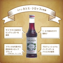 ヨドバシ.com - MONIN モナン カシス・シロップ 250ml 通販【全品無料 