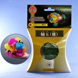 P5231 楠玉 雅
