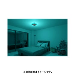 ヨドバシ.com - ホタルクス HLDC08V002BSG [LEDシーリングライト