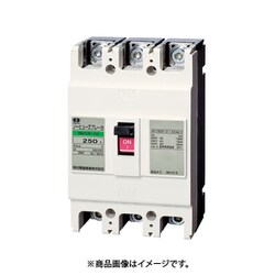 NB 253E-250 [ノーヒューズブレーカ NB-E 165×105×68mm]
