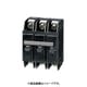 NL 103R-100M [ノーヒューズブレーカ NL-R 95×50×60mm]