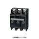 NL 103R-60M [ノーヒューズブレーカ NL-R 95×50×60mm]