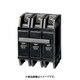 NL 53R-15M [ノーヒューズブレーカ NL-R 95×75×60mm]