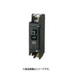 NLH 2P2E30M [ノーヒューズブレーカ NLH 95×25×60mm]