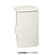 SPNO 2515-12 [プラボックス ABSドア付 277.5×155×123mm クリーム]