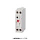 ZCS 2P2E20-30F [漏電ブレーカ ZCS-F 70×20×50mm]