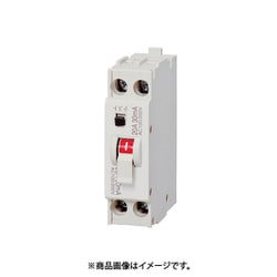 ZCS 2P2E20-30F [漏電ブレーカ ZCS-F 70×20×50mm]