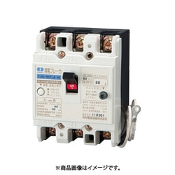 ZL 63-40TLA-30 [漏電ブレーカ 単3専用 ZL-TLA 100×50×60mm]