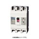 ZR 253-250-30 [漏電ブレーカ ZR 165×105×68mm]