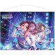 アイドルマスター シンデレラガールズ B2タペストリー Nocturne / 川島瑞樹 [キャラクターグッズ]
