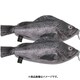 リアル魚型ポーチ＆ペンケース メバル