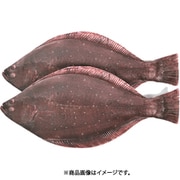 リアル魚型ポーチ＆ペンケース ヒラメ