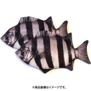 リアル魚型ポーチ＆ペンケース イシダイ