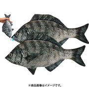 リアル魚型ポーチ＆ペンケース クロダイ