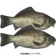 リアル魚型ポーチ＆ペンケース フナ