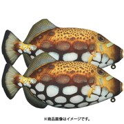リアル魚型ポーチ＆ペンケース モンガラカワハギ