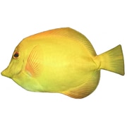 リアル魚型ポーチ＆ペンケース キイロハギ