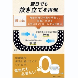 ヨドバシ.com - イワノ IWANO おひつ 2合 （黒）日本製 AWKTH2