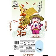 精米 千葉県産ふさこがね 5kg 令和5年産