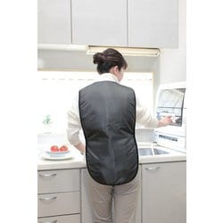 FP-380 [オーラ岩盤健康ベスト 極]