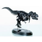 ティラノサウルス 骨格模型＆ポスター [対象年齢：6歳～]
