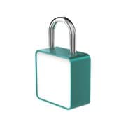 CL-G [Canvas Lock グリーン]