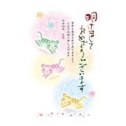年賀はがき 令和4年(2022年)用 スタンダードカラー5P NO.2 A02