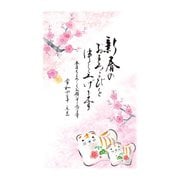 年賀はがき 令和4年(2022年)用 スタンダードカラー5P NO.8 A08