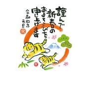 年賀はがき 令和4年(2022年)用 スタンダードカラー5P NO.12 A12