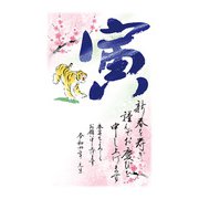 年賀はがき 令和4年（2022年）用 スタンダードカラー5P NO.13 A13