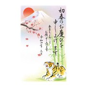 年賀はがき 令和4年(2022年)用 スタンダードカラー5P NO.14 A14