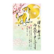 年賀はがき 令和4年(2022年)用 スタンダードカラー5P NO.16 A16