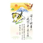 年賀はがき 令和4年(2022年)用 富士山1 3P NO.3 FU03
