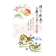 年賀はがき 令和4年（2022年）用 富士山1 3P NO.7 FU07