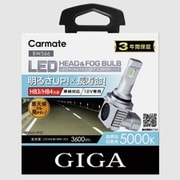 BW566 C3600 5000K HB3/HB4