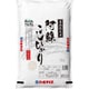 精米 熊本県産阿蘇こしひかり 5kg 令和6年産