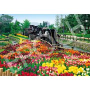 31-039 五連水車と花咲く公園-富山 [ジグソーパズル 1053スーパースモールピース]