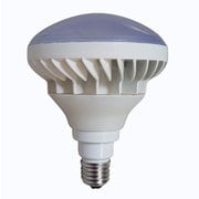 LDR18N200-TM [LED電球 屋外用レフ型 昼白色 200W相当 E26 IP65]