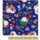 XMAS サンタラップ アオ 040274