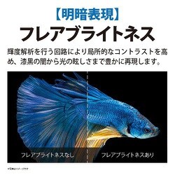 ヨドバシ.com - シャープ SHARP 8T-C75DX1 [AQUOS XLED(アクオス