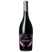 ヴィーノ ノヴェッロ 13度 750ml [赤ワイン]