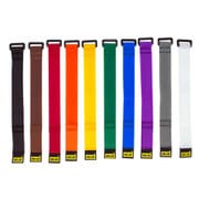 シンチストラップ 25.4mm×228.6mm 10本入り 虹 N-09-010-RW