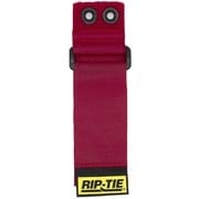 シンチストラップEG 50.8mm×2387.6mm 1本入り 赤 O-94-G1P-RD