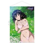 ストライク・ザ・ブラッドIV WスエードB2タペストリー 姫柊雪菜 桜の花びら ver. [キャラクターグッズ]