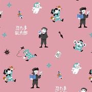 忍たま乱太郎 ecomate（エコメイト） / ミニエコバッグ 1年生 [キャラクターグッズ]